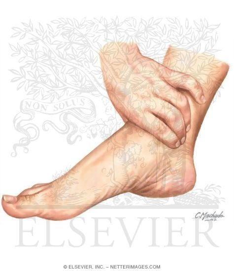 Changes In Feeling In the Diabetic Foot