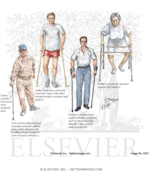 Watermarked preview of labeled image: Canes, Crutches, and Walkers