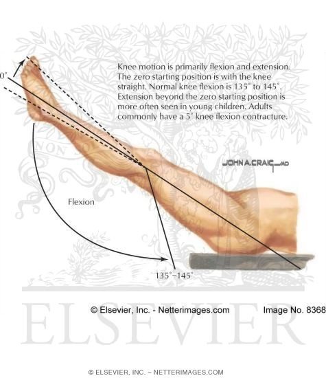 Zero Starting Position and Arc of Flexion