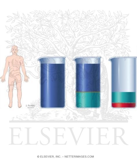 Body Fluid Compartments