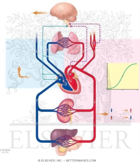 Watermarked preview of unlabeled image: Monitoring of Blood Pressure