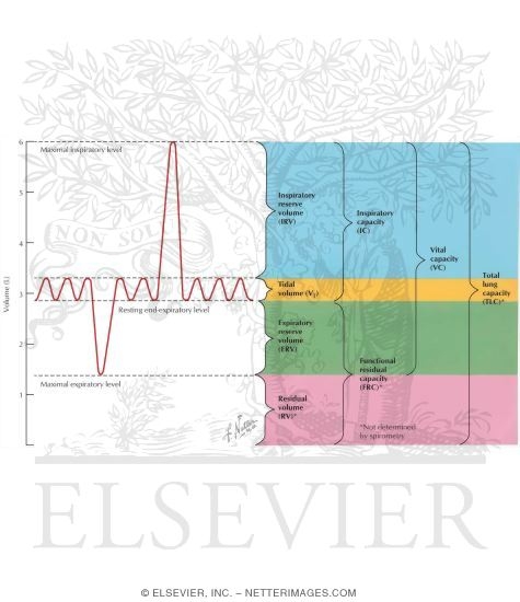 Spirometry