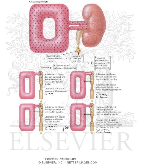 Watermarked preview of labeled image: Clearance Principle
