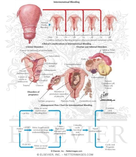 Intermenstrual period sales