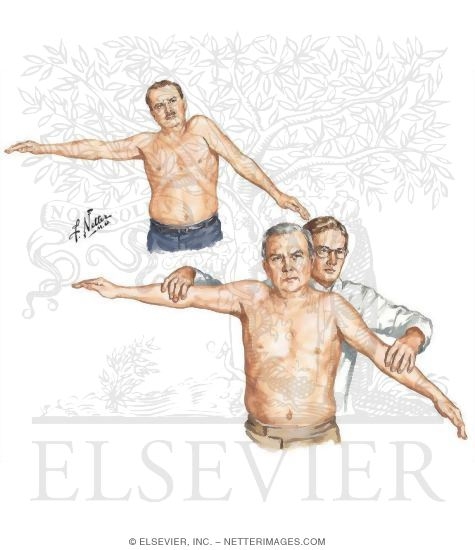 Watermarked preview of unlabeled image: Physical Examination of the Shoulder