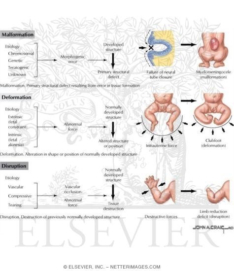 Classification of Nonnormal Processes
