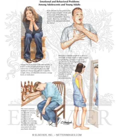 Watermarked preview of labeled image: Adolescent Behavioral and Emotional Problems
Emotional and Behavioral Problems Among Adolescents and Young Adults