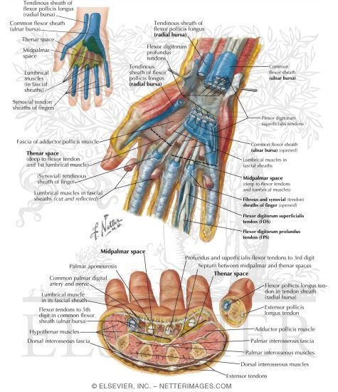 Other Structures: Hand Spaces