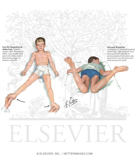 Watermarked preview of labeled image: Physical Exam