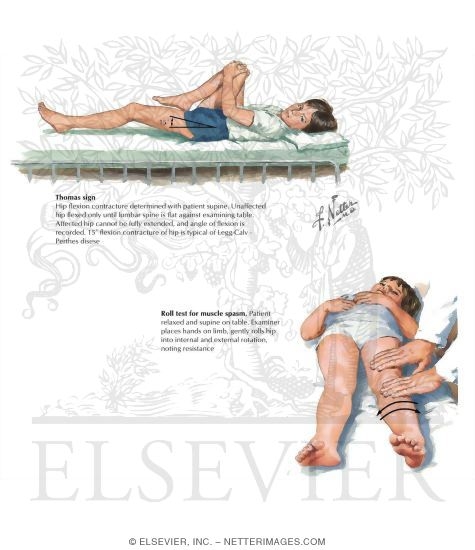 Physical Examination of the Knee