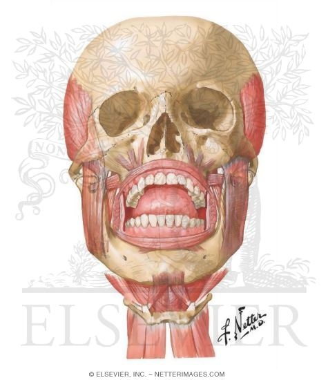 Diagnostic Criteria for Detecting Intra-articular Temporomandibular Disorders