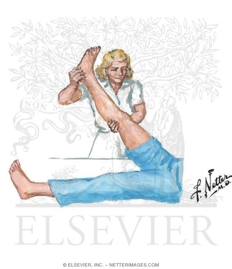 Straight-Leg Raise (SLR)