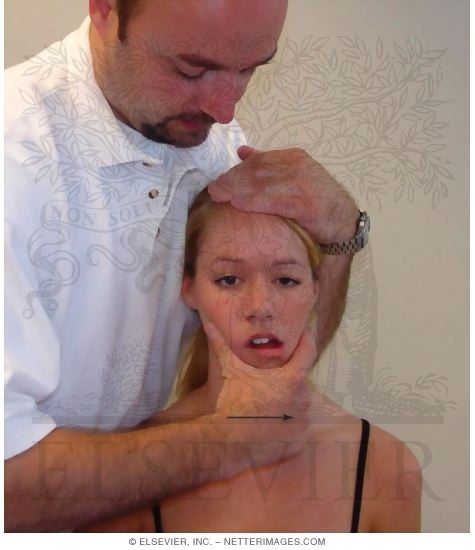 Watermarked preview of unlabeled image: Joint Play and End-Feel Assessment of the Temporomandibular Joint (TMJ)