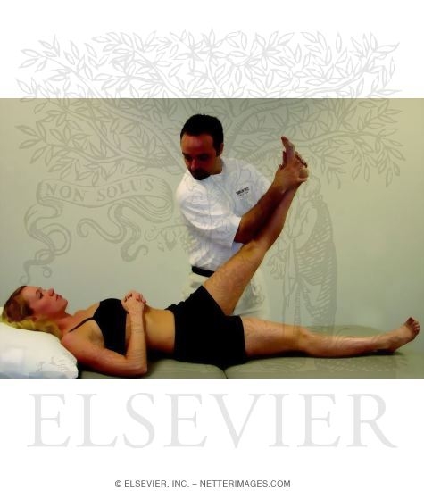 Straight-Leg Raise (SLR)