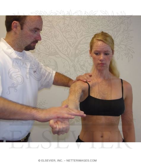 Detecting Biceps Tendon Lesions: Speed Test