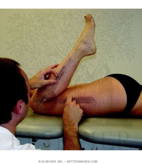 Measurement of Active Knee Flexion Range of Motion