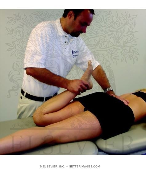 Watermarked preview of unlabeled image: Assessment of End-Feel for Knee Flexion