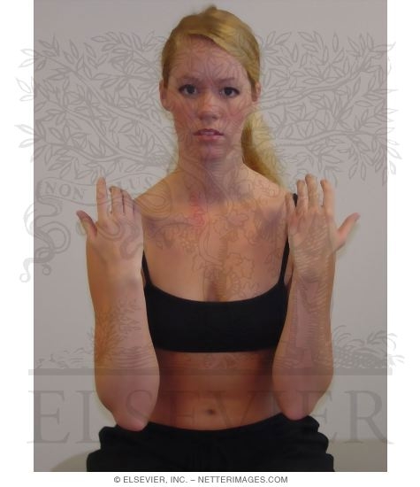 Watermarked preview of unlabeled image: Elbow and Flexion Test With Shoulders and Wrists In Neutral