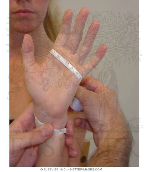 Watermarked preview of unlabeled image: Figure-of-Eight and Volumetric Measurements of Hand: Step 3