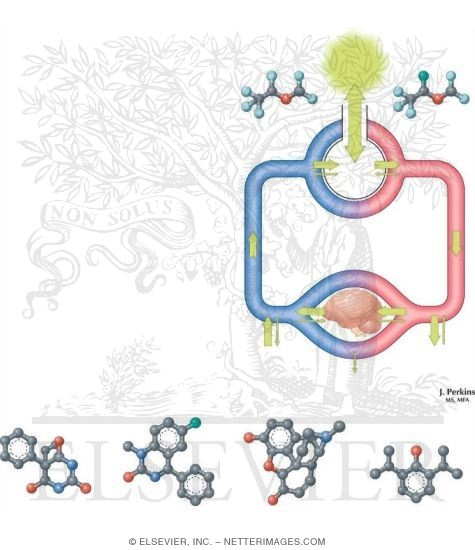 Watermarked preview of unlabeled image: General Anesthetics: Properties
