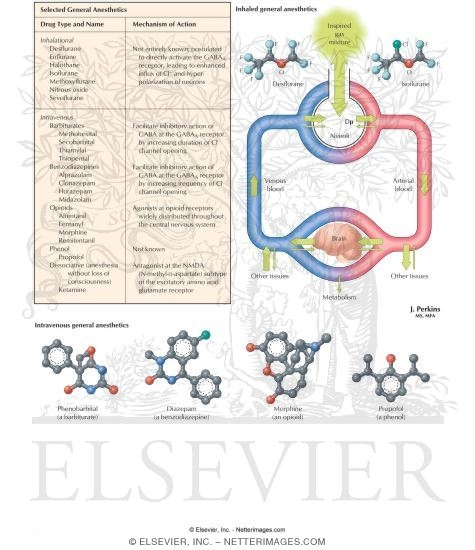 Watermarked preview of labeled image: General Anesthetics: Properties
