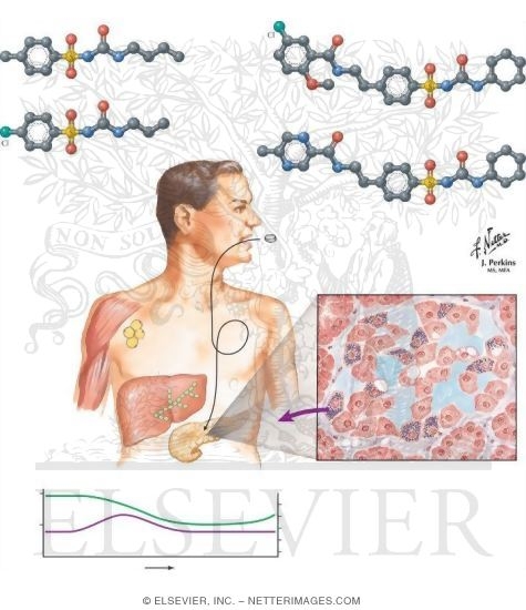 Watermarked preview of unlabeled image: Sulfonylureas