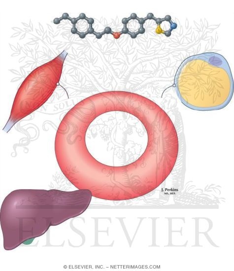 Thiazolidinediones: Clinical Rationale and Adverse Effects