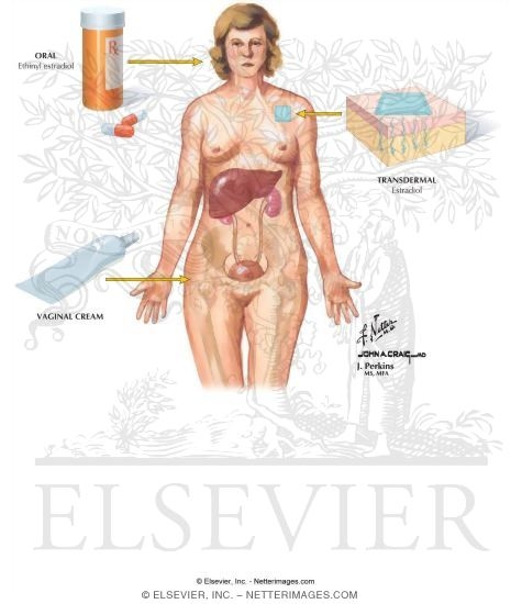 Watermarked preview of labeled image: Route of Hormone Administration