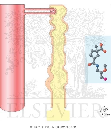 Watermarked preview of unlabeled image: Mercurial Diuretics