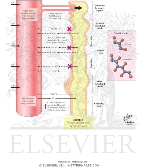 Osmotic Agents