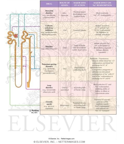 Watermarked preview of labeled image: Summary of Therapeutics