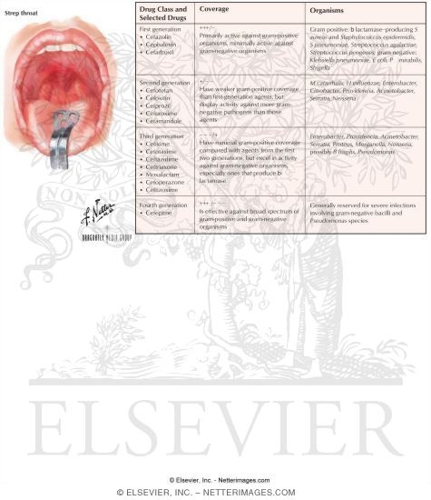 Cephalosporins thesis 08 image