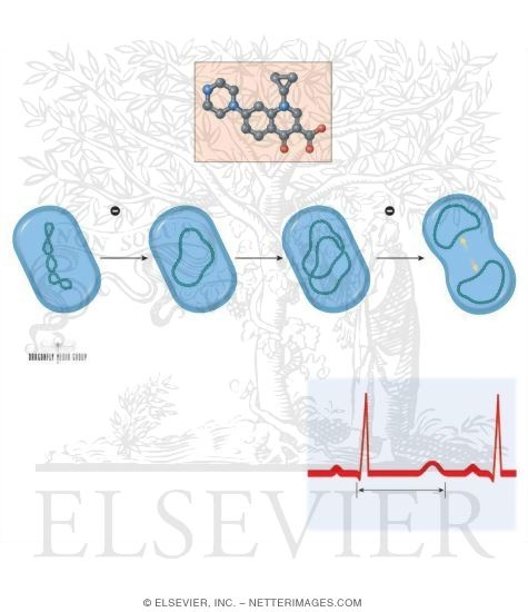 Watermarked preview of unlabeled image: Quinolones