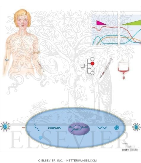 Watermarked preview of unlabeled image: HIV Infection