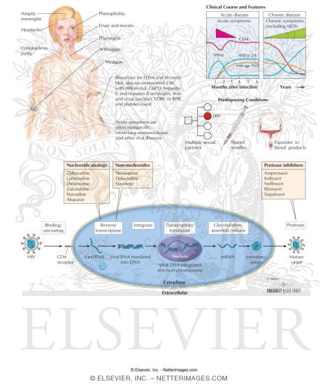 HIV Infection