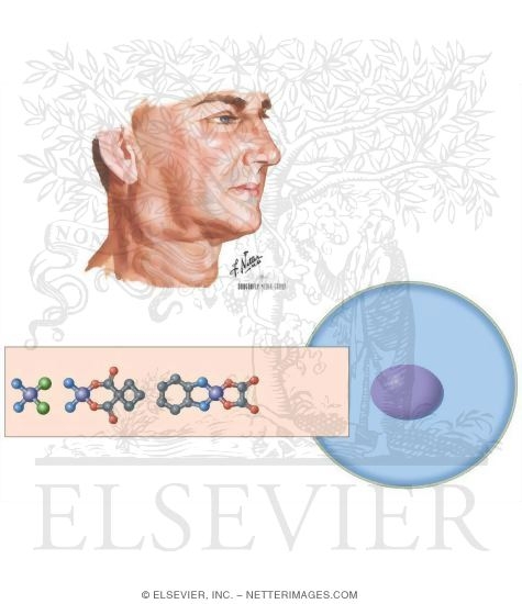 Watermarked preview of unlabeled image: Platinum Compounds: Cisplatin, Carboplatin, and Oxaliplatin