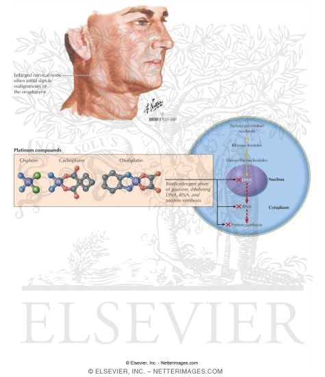Watermarked preview of labeled image: Platinum Compounds: Cisplatin, Carboplatin, and Oxaliplatin