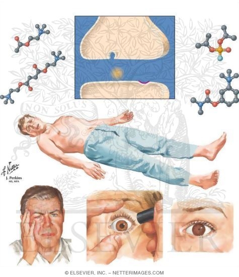 Cholinergic Drugs