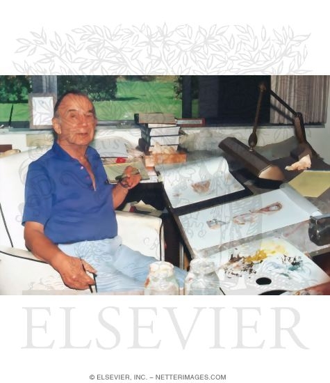 Watermarked preview of unlabeled image: Netter Photograph