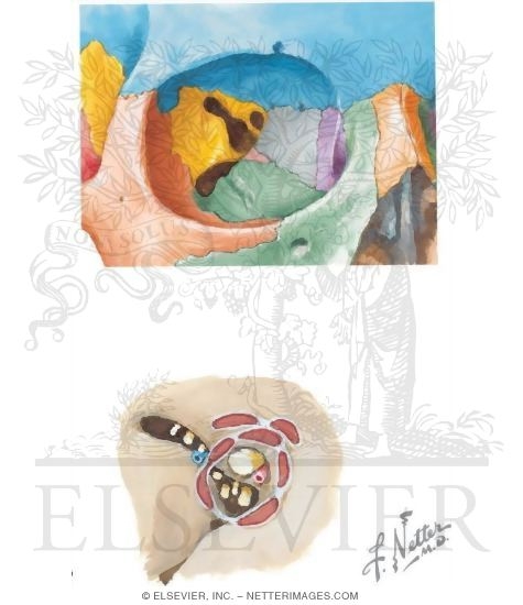 Watermarked preview of unlabeled image: Walls of the Orbit