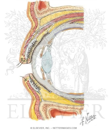 Watermarked preview of unlabeled image: Contents of the Orbit