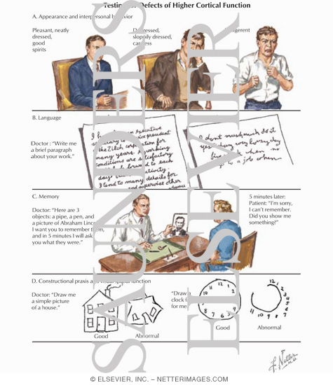 Watermarked preview of labeled image: Testing for Defects of Higher Cortical Function