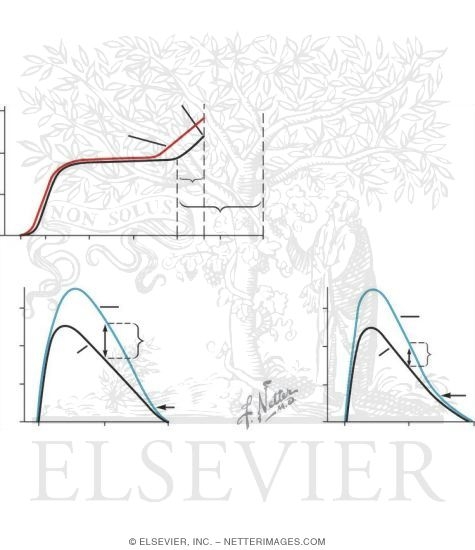 Watermarked preview of unlabeled image: Tests of Pulmonary Function