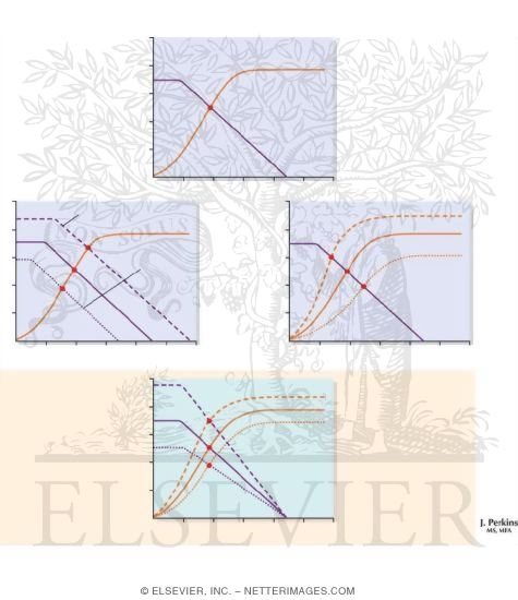 Cardiac and Vascular Function Curves
