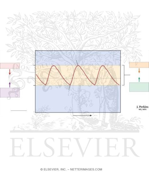 Watermarked preview of unlabeled image: Arterial Pressure