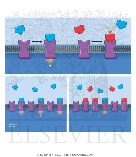 Watermarked preview of unlabeled image: Antagonists