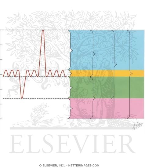 Spirometry