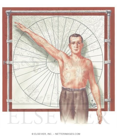 Watermarked preview of unlabeled image: Shoulder Joint