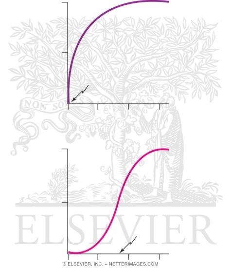 Dose-Reponse Curves