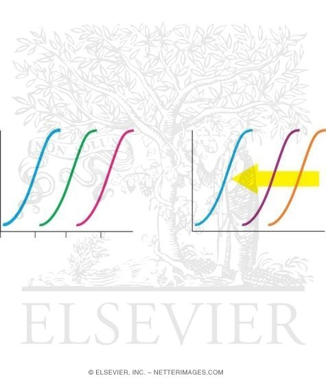 Watermarked preview of unlabeled image: Potency